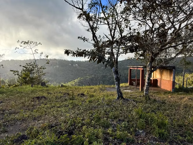 SE VENDE HERMOSO LOTE CON VISTA EN LOS ALTOS DE CERRO AZUL - Imagen 6