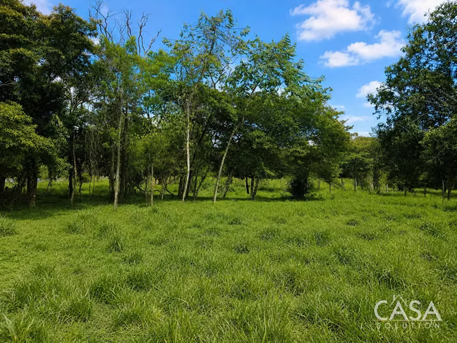 7.97 Acres de Terreno en Venta sobre la Carretera hacia Caldera, Boquete
