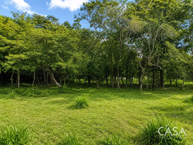 7.97 Acres de Terreno en Venta sobre la Carretera hacia Caldera, Boquete