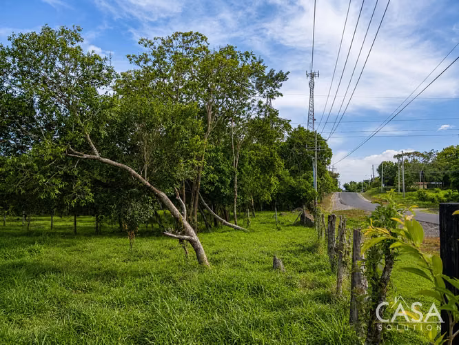 7.97 Acres de Terreno en Venta sobre la Carretera hacia Caldera, Boquete