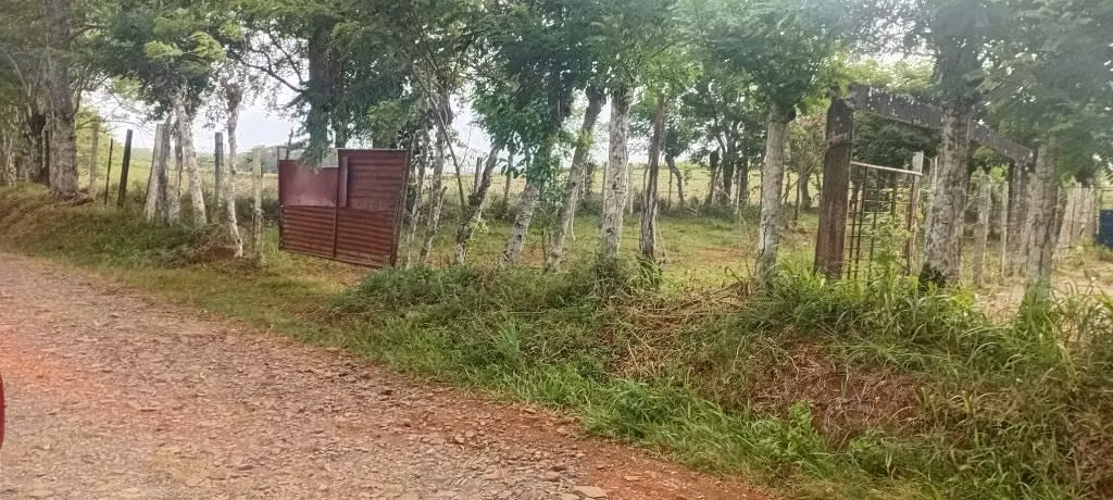 Ganga finca en chorrera 40 has