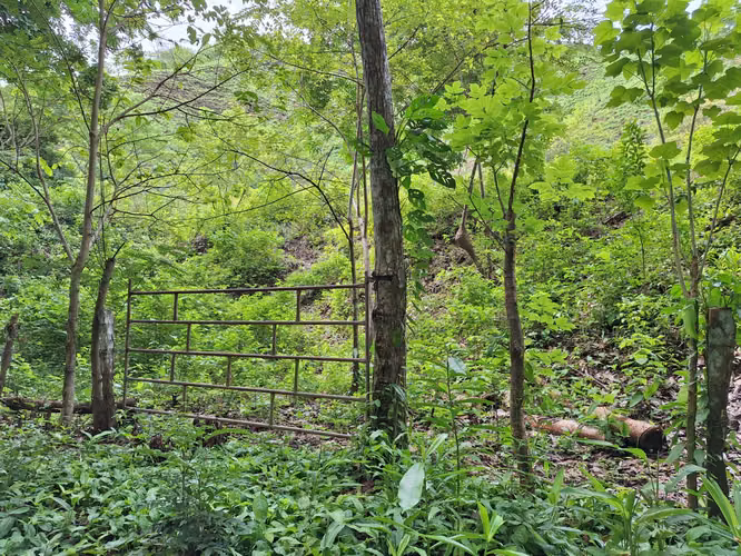 Terreno en Tonosí en venta