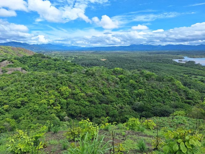 Terreno en Tonosí en venta