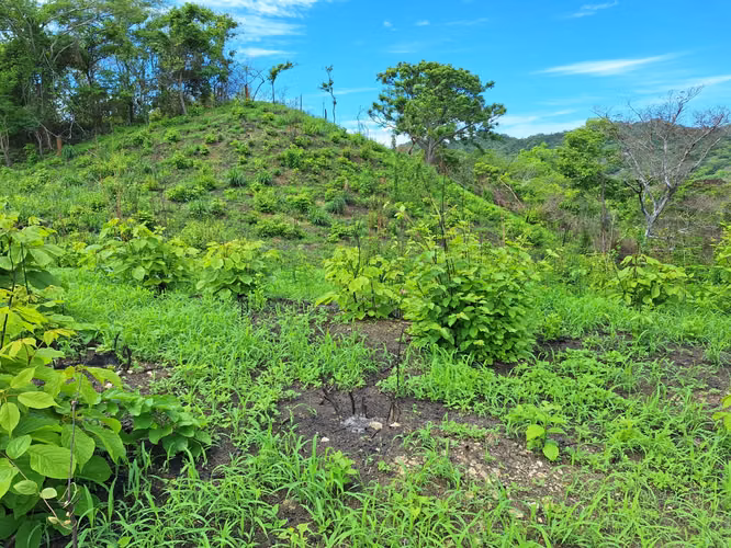 Terreno en Tonosí en venta