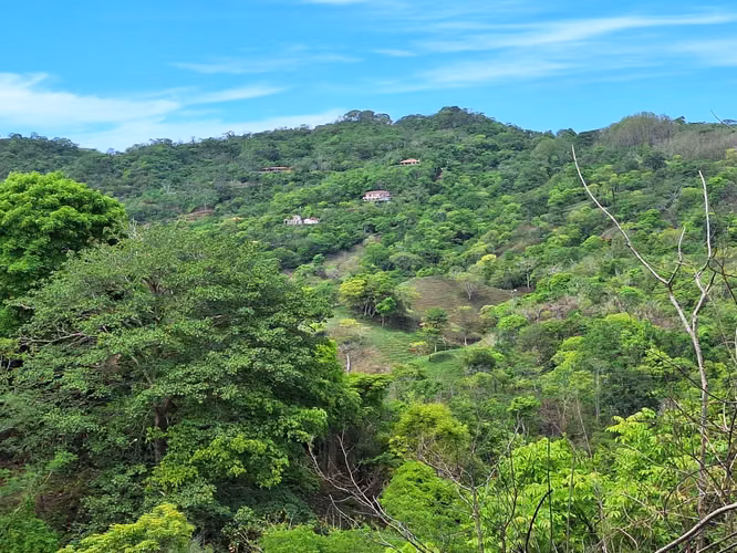 Terreno en Tonosí en venta