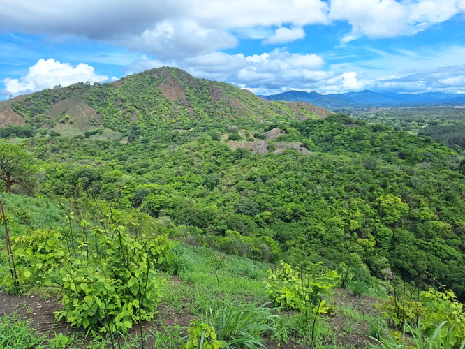 Terreno en Tonosí en venta