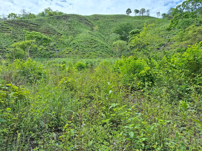 Terreno en Tonosí en venta