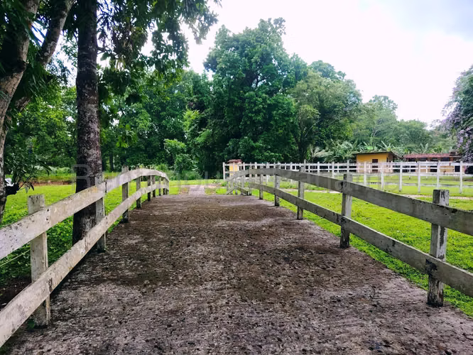 LGU-Venta de finca en Colón, Salamanca.