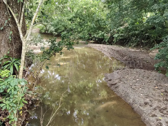 LGU-Venta de finca en Colón, Salamanca.