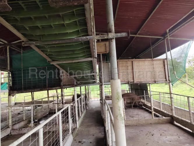 LGU-Venta de finca en Colón, Salamanca.
