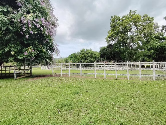 LGU-Venta de finca en Colón, Salamanca.