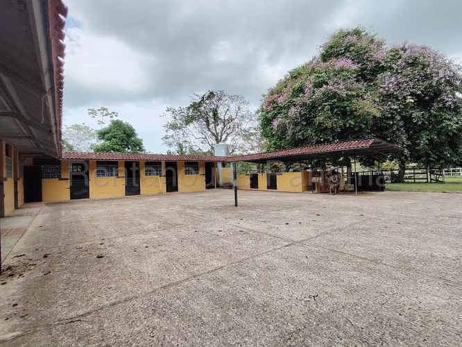 LGU-Venta de finca en Colón, Salamanca.