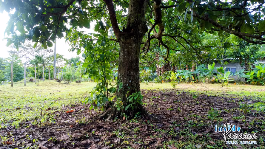 Terreno Plano en El Francés Boquete Chiriquí Panamá