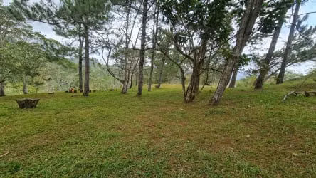 VENDO TERRENO EN ALTOS DEL MARIA - 1,132 MTS - SANTIAGO APOSTOL.