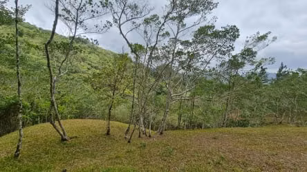 VENDO TERRENO EN ALTOS DEL MARIA - 1,132 MTS - SANTIAGO APOSTOL.