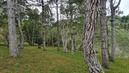 VENDO TERRENO EN ALTOS DEL MARIA - 1,132 MTS - SANTIAGO APOSTOL.