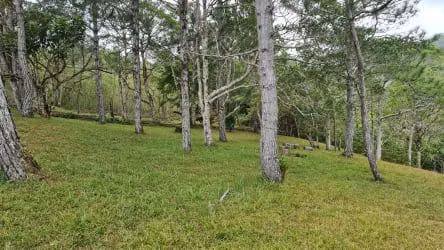 VENDO TERRENO EN ALTOS DEL MARIA - 1,132 MTS - SANTIAGO APOSTOL.