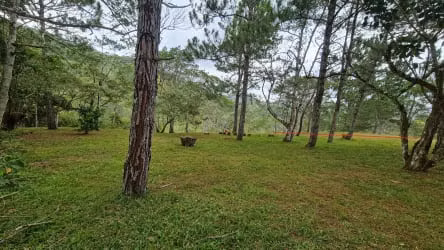 VENDO TERRENO EN ALTOS DEL MARIA - 1,132 MTS - SANTIAGO APOSTOL.