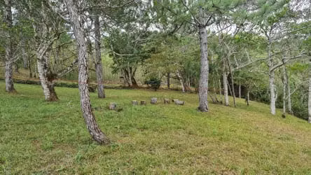 VENDO TERRENO EN ALTOS DEL MARIA - 1,132 MTS - SANTIAGO APOSTOL.