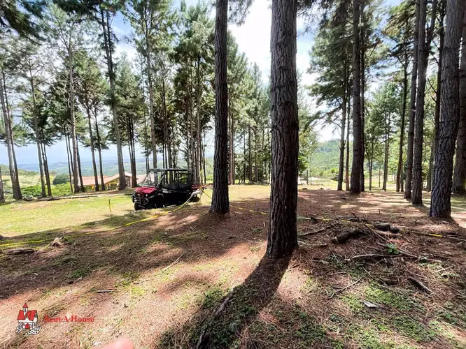 Terreno en Venta en Las Lajas. 26-2281.