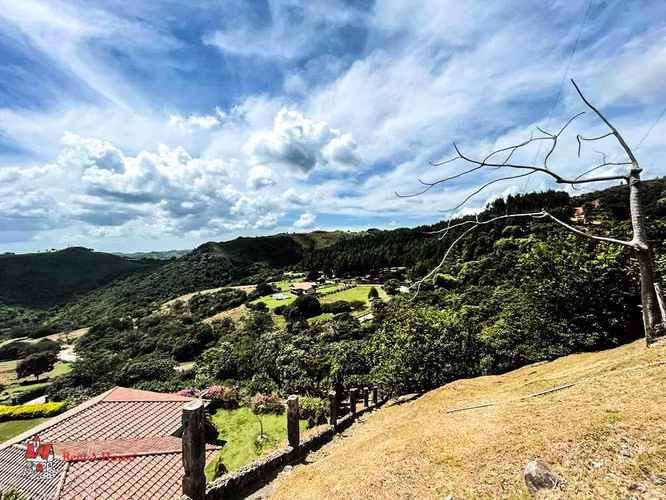 Terreno en Venta en Las Lajas. 26-2281.