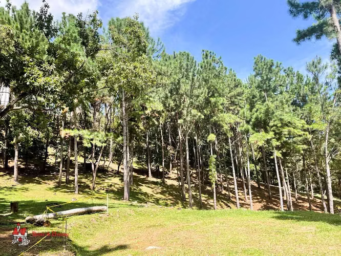 Terreno en Venta en Las Lajas. 26-2281.