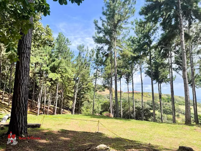 Terreno en Venta en Las Lajas. 26-2281.