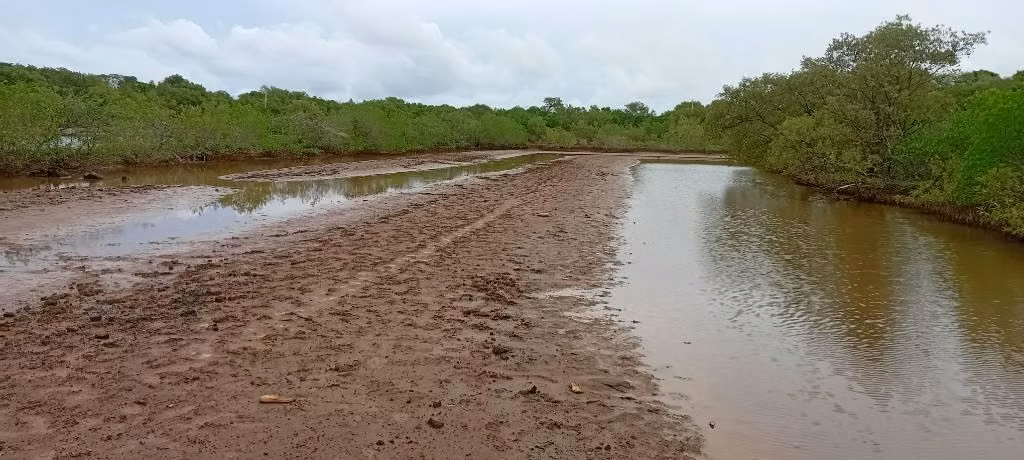 Ramato finca de 5.6 para camarones o sal