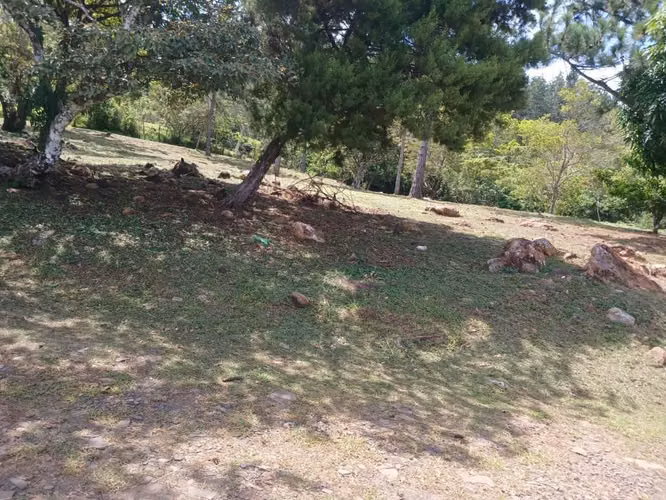 FOR SALE / Chica Titled Land 2,165 m² — Chame, near Parque Nacional Campana