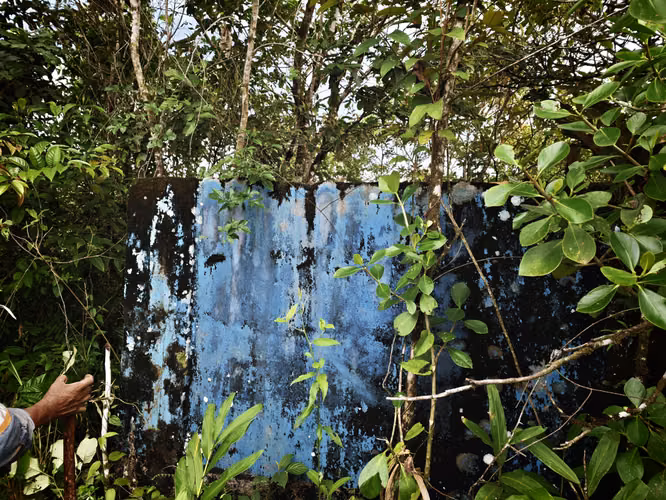 Se Vende RESERVA FORESTAL PRIVADA EN CERRO - Imagen 11