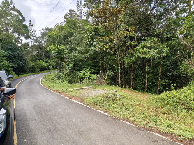 Se Vende RESERVA FORESTAL PRIVADA EN CERRO - Imagen 19