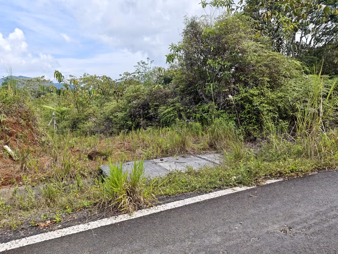 Se Vende RESERVA FORESTAL PRIVADA EN CERRO - Imagen 14