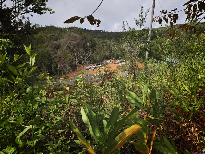 Se Vende RESERVA FORESTAL PRIVADA EN CERRO - Imagen 9