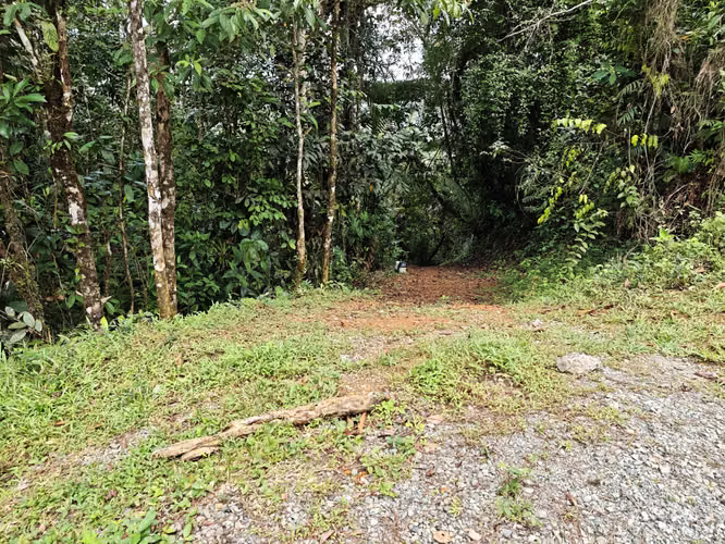 Se Vende RESERVA FORESTAL PRIVADA EN CERRO - Imagen 16