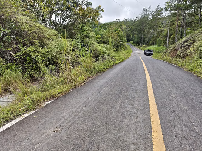 Se Vende RESERVA FORESTAL PRIVADA EN CERRO - Imagen 15