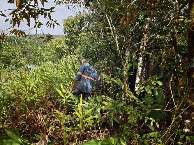 Se Vende RESERVA FORESTAL PRIVADA EN CERRO - Imagen 8