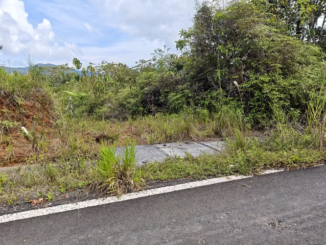 Se Vende RESERVA FORESTAL PRIVADA EN CERRO - Imagen 17