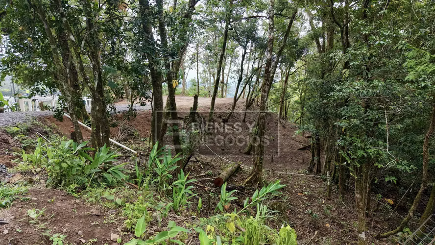 Terreno en Chiriqui, Boquete, 5,390,19 mts2 en Jaramillo Centro - Imagen 4