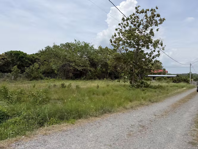Excelente Lote Residencial Rebajado a $35,000 Plano 1,300 m² – Listo para Construir - Imagen 3