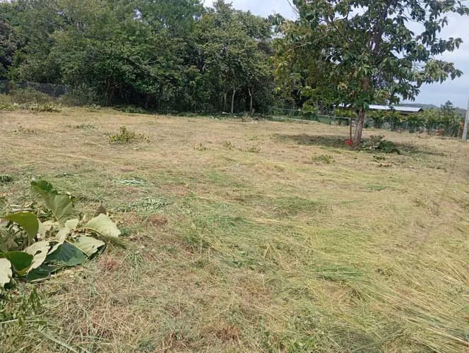 Excelente Lote Residencial Rebajado a $35,000 Plano 1,300 m² – Listo para Construir - Imagen 6