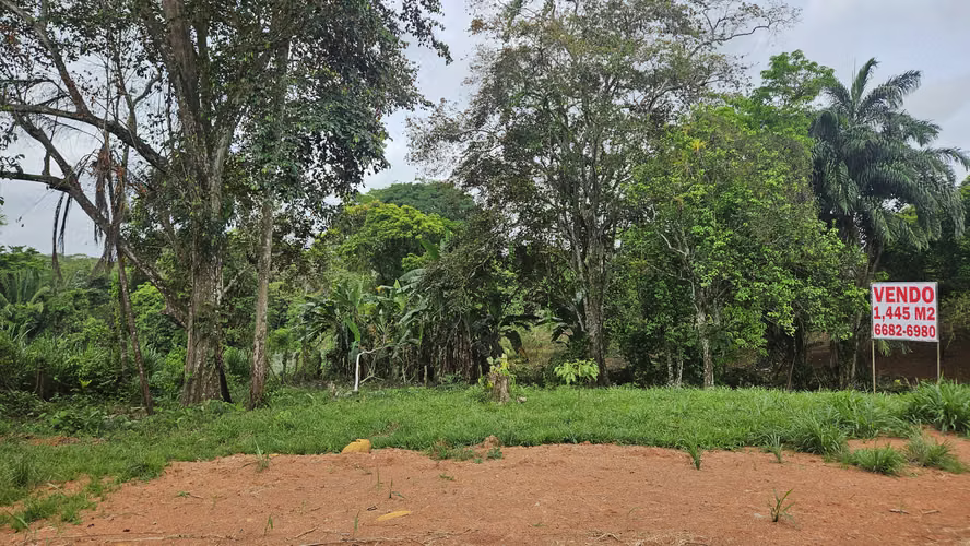 VENDO TERRENO PLANO DE 1,445 m² EN LA CHORRERA - EL IGUANO COROZALES ITURRALDE