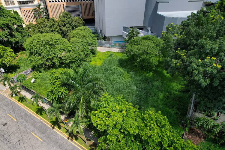 Terreno en venta en El Cangrejo