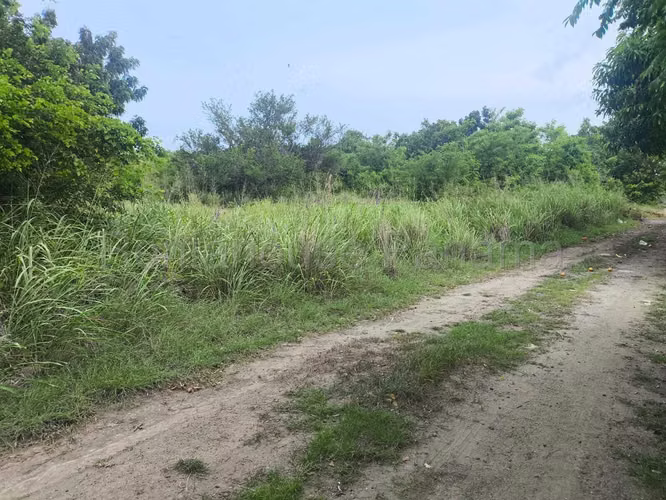 Venta de Terreno en Punta Chame  NS - Imagen 6