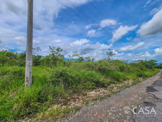Reducción de Precio! Oferta Limitada! Lote De 1 Hectárea Con Vistas A La Montaña En Caldera, Boquete - Imagen 5