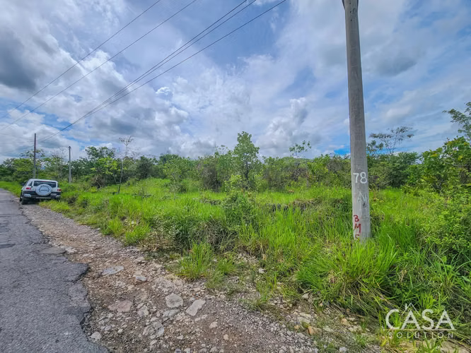 Reducción de Precio! Oferta Limitada! Lote De 1 Hectárea Con Vistas A La Montaña En Caldera, Boquete - Imagen 10