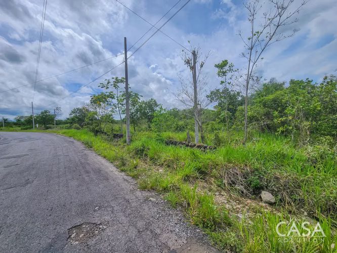 Reducción de Precio! Oferta Limitada! Lote De 1 Hectárea Con Vistas A La Montaña En Caldera, Boquete - Imagen 16