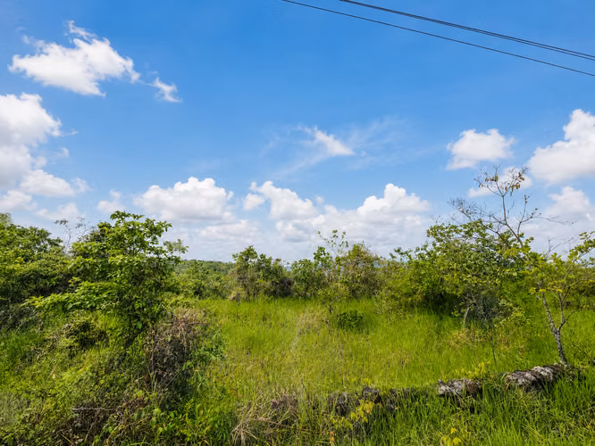 Reducción de Precio! Oferta Limitada! Lote De 1 Hectárea Con Vistas A La Montaña En Caldera, Boquete - Imagen 2