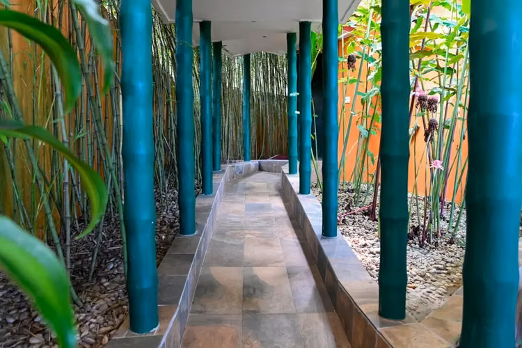 Wellness Retreat Ecolodge en Operación a Increíble Precio | 4,500 m² | Cerro Azul | Activo con Rentabilidad Comprobada