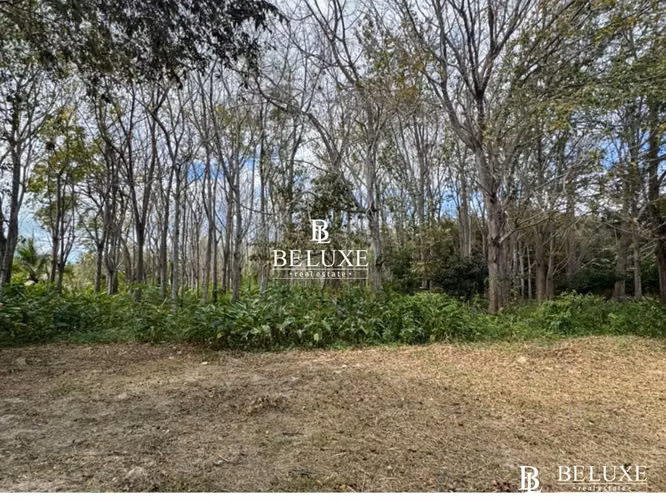 VENTA DE TERRENO EN JUAN HOMBRON, ANTÓN (6)