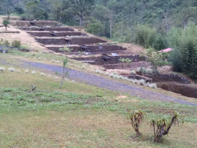 VENTA DE FINCA PRODUCTORA CON RIO EN VOLCÁN TIERRAS ALTAS CHIRIQUI 44 HECTAREAS $40MIL LA HECTAREA